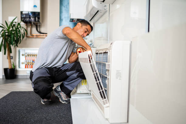 Air Duct Mold Removal in Lowes Island, VA