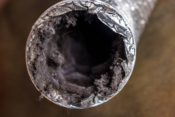 Best Local Air Duct Cleaning Services  in Lowes Island, VA
