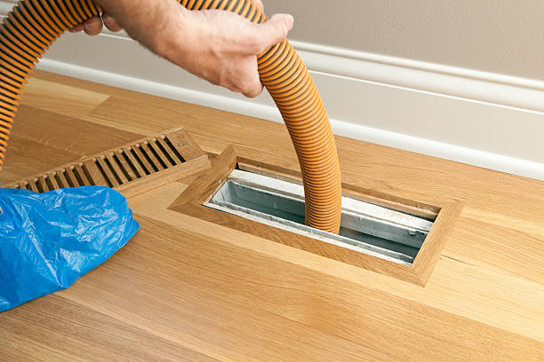 Air Duct Mold Removal in Lowes Island, VA